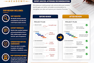 review your project plan and provide expert feedback