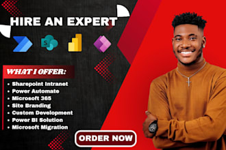 build sharepoint intranet, document management, office 365 sharepoint site