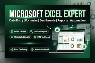 do any microsoft excel work formulas data cleaning and analysis