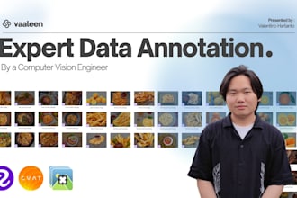 do expert image data annotation for computer vision in roboflow