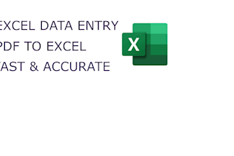 do accurate excel data entry, PDF to excel and financial data work