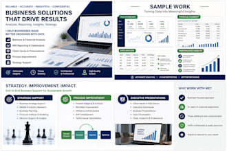 provide business solutions, analysis and operational support
