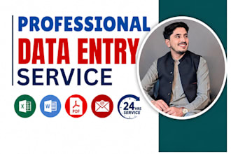 provide professional data entry and excel services