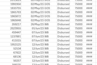 do fast and accurate data entry work in 24 hours