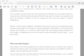 write SEO optimized articles in french for your website