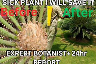 diagnose your plant problems and give step by step treatment plan