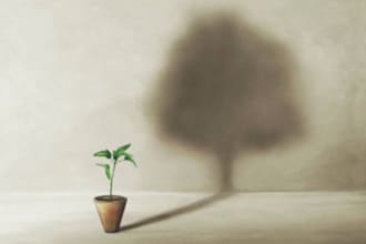blend deep clarity with somatic wisdom