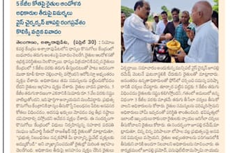do professional telugu typing, news and article writing