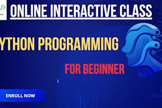 teach you python from basics