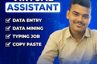 do expert data entry and copy paste