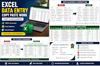 be your excel data entry specialist with fast delivery
