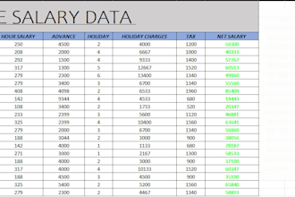 create professional spreadsheets with formulas and charts