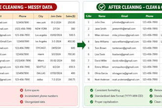 do excel data formatting cleaning and organize your data professionally