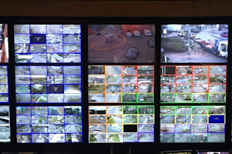 do professional cctv surveillance monitoring and data entry