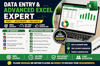 provide data entry and advance excel services