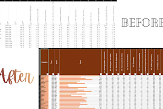 clean, sort, format and organize excel data