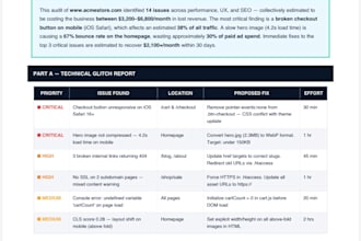 audit your website for profit leaks, technical glitches, and conversion killers