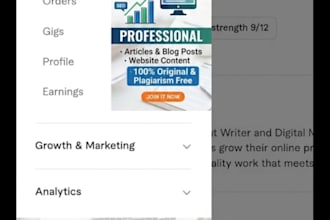 write SEO articles and blog posts for your website