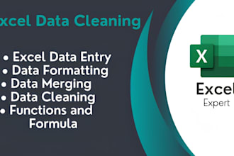 clean, format, merge, split and organize excel data