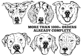 draw your cat,dog,and pet animal line art in 12 hours