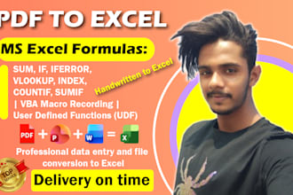 convert PDF to excel and word professionally and accurately