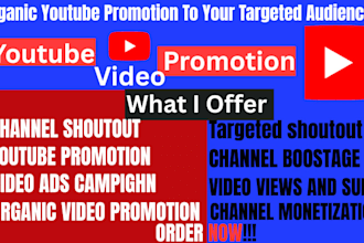 promote your youtube video channel with organic promotion and targeted shoutout