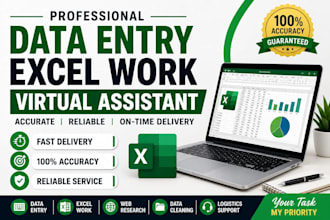 do professional data entry excel work and admin support