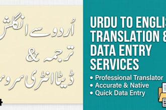 do professional urdu to english translation and data entry