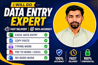 do fast and accurate data entry, excel, copy paste, typing work