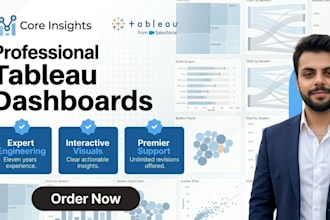 create insightful and professional tableau dashboards and reports