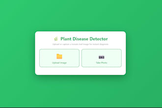 build a custom deep learning model for image classification