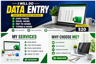 do fast and accurate data entry and copy paste work