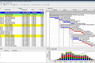 create professional project schedules in primavera p6 and excel