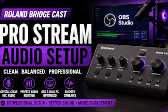 setup roland bridge cast for professional streaming audio and clean routing
