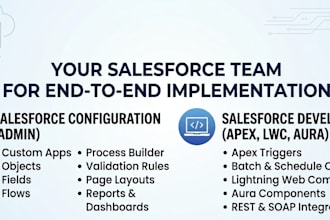setup customize and automate your salesforce CRM