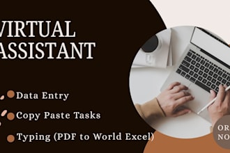 be your professional virtual asistant for admin tasks