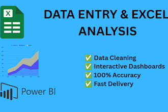 do professional data entry and excel data analysis