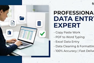 ido data entry, typing and copy paste work accurately
