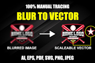 manually vectorize jpg png or low resolution image