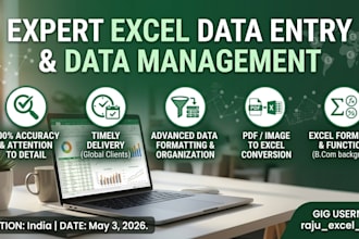 do professional excel data entry and data formatting