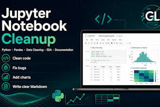 clean debug and document your jupyter notebook