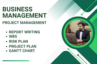 write ms business management report, risk project plan,gantt chart wbs, charter