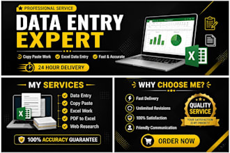 do data entry, copy paste, typing and excel work professionally