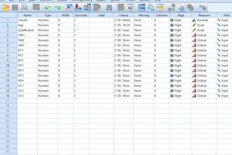 do spss and smartpls4 for social sciences