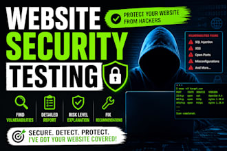 do website security testing and find vulnerabilities