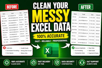 clean and organize your excel data professionally
