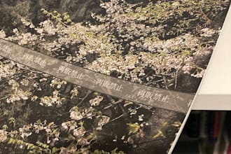 translate japanese with cultural nuance and real context