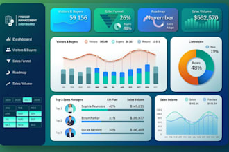 design professional excel dashboard, data visualization and automated reports