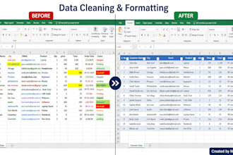 clean, format and organize excel spreadsheets