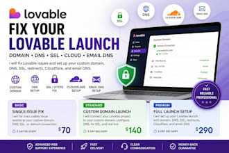 fix your lovable custom domain, dns, SSL, and launch issues